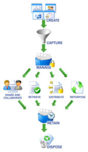 Document life cycle